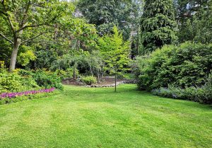 Optimiser l'expérience du jardin à Oulchy-le-Château